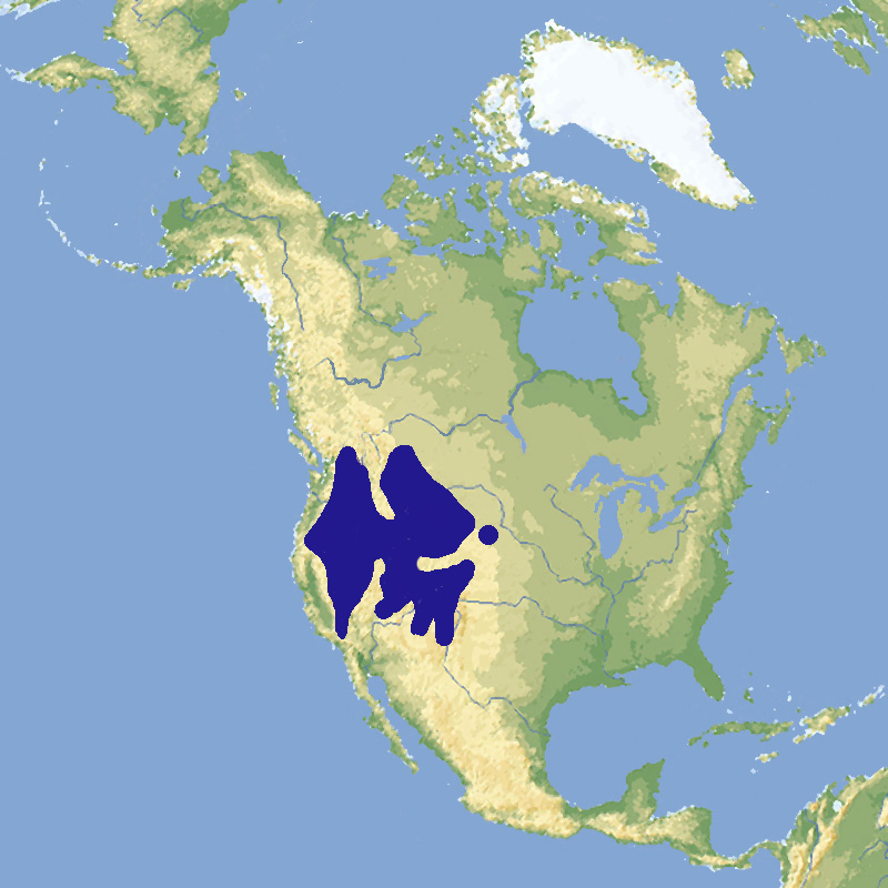 110 002 004 016 marmota flaviventris map