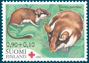 110 012 002 002 eliomys quercinus briefmarke SF