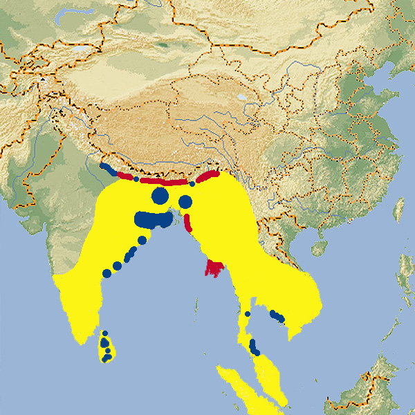 112 007 001 029 prionailurus viverrinus map