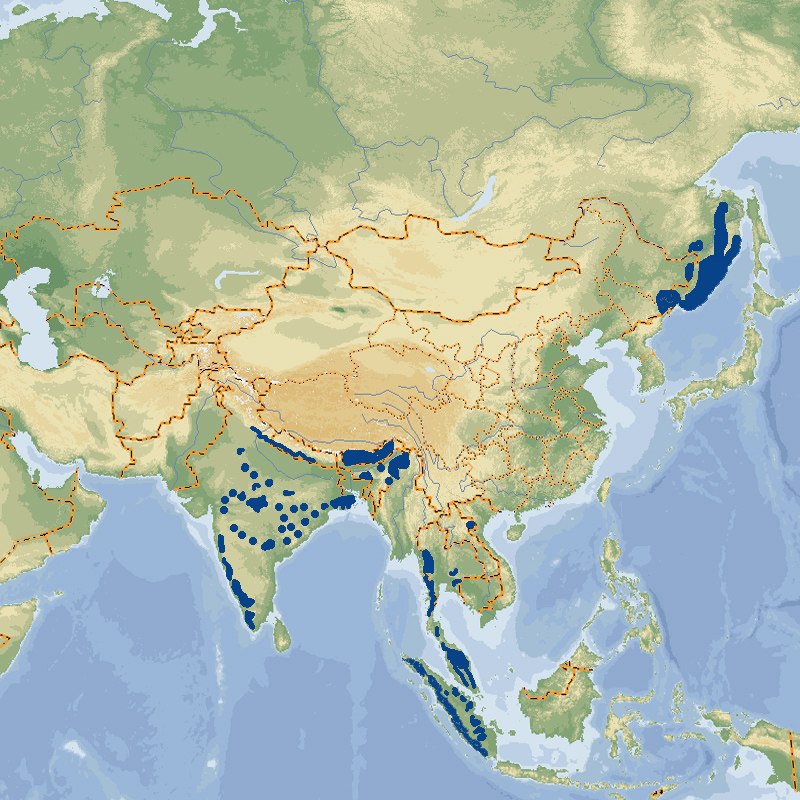 112 007 002 005 panthera tigris map