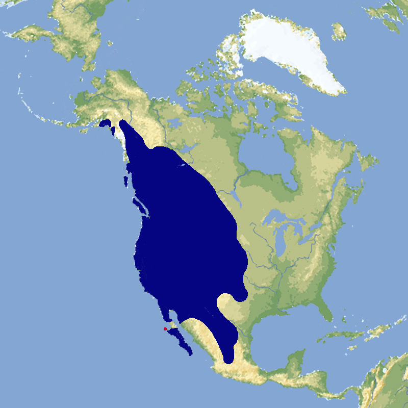 119 006 013 001 odocoileus hemionus map