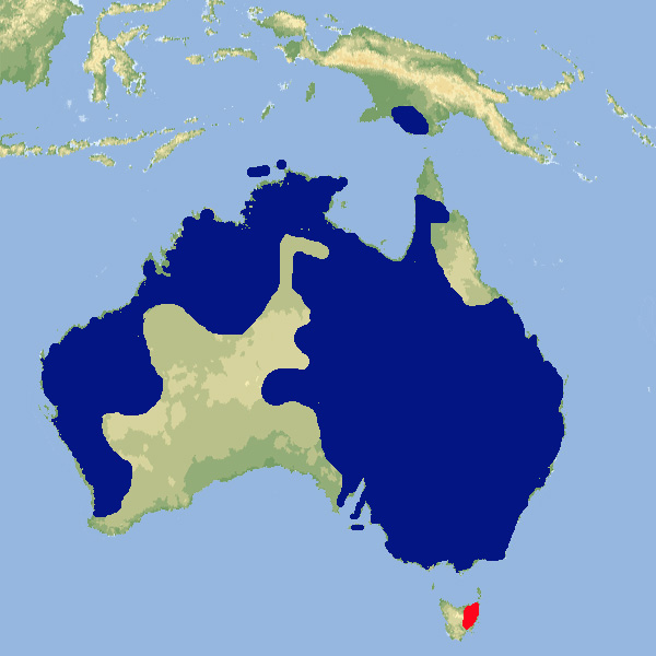 218 002 001 010 cacatua sanguinea map