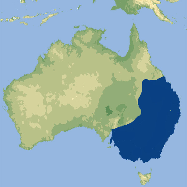 301 002 001 007 chelodina longicollis map