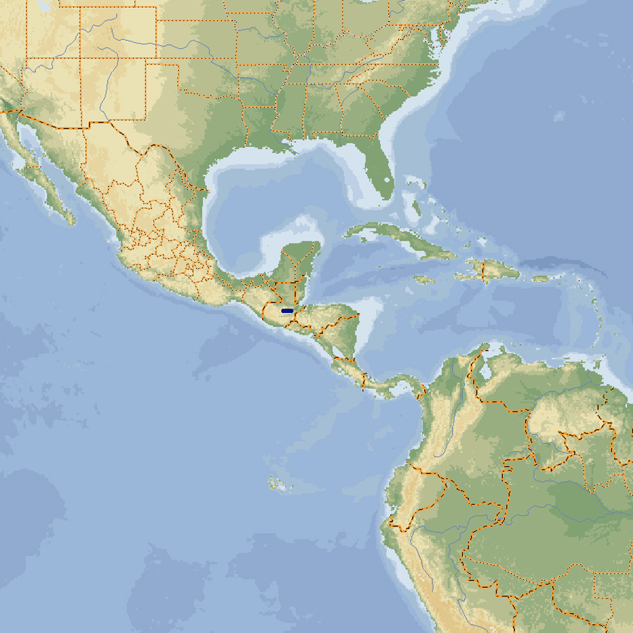 303 010 017 014 ctenosaura palearis map