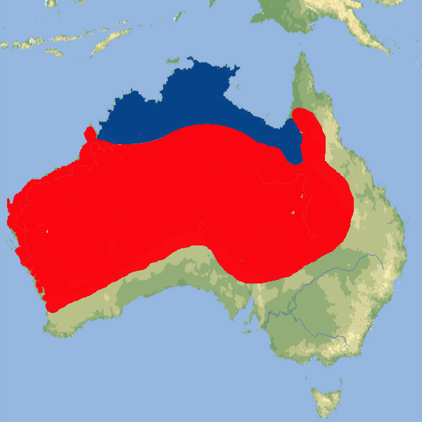 305 004 004 001 aspidites melanocephalus map