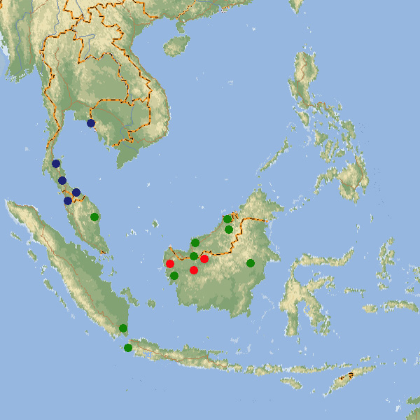 517 029 010 003 kryptopterus map