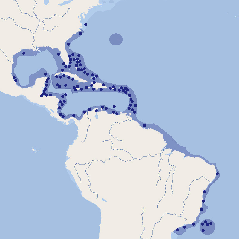 535 028 016 007 holacanthus tricolor map