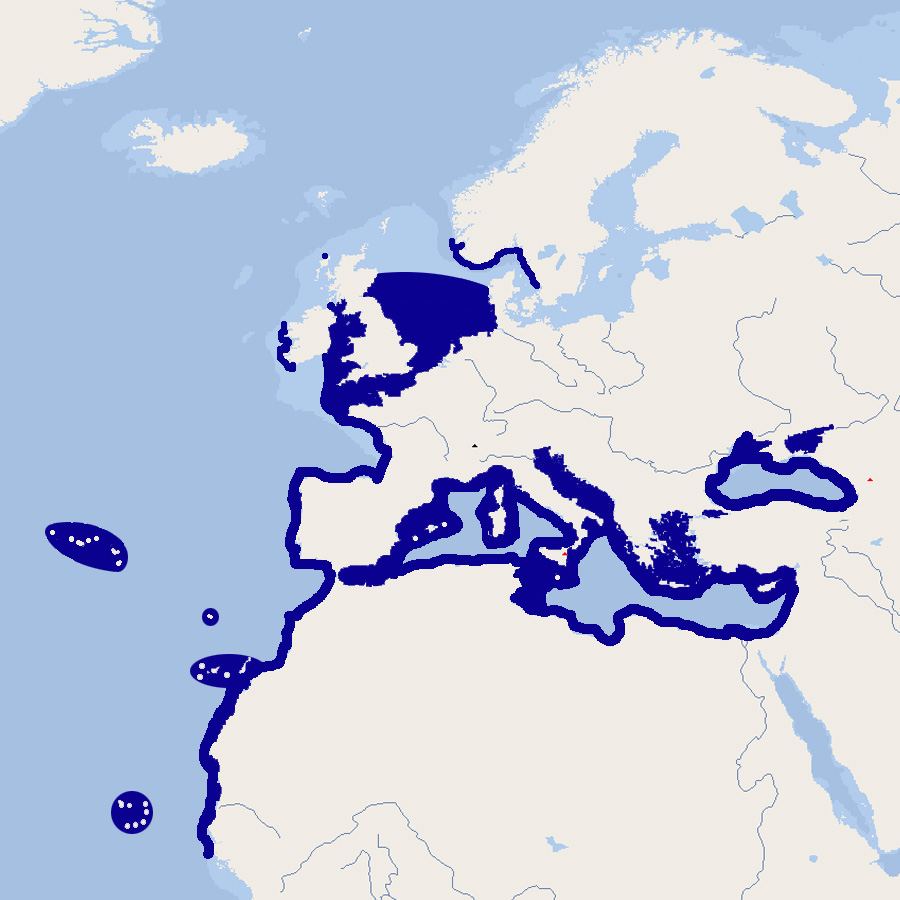 535 088 002 002 mullus surmuletus map