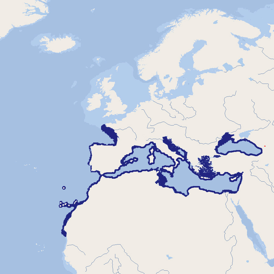 535 128 072 025 serranus scriba map