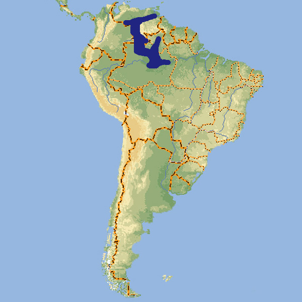 535 036 cichla temensis  map