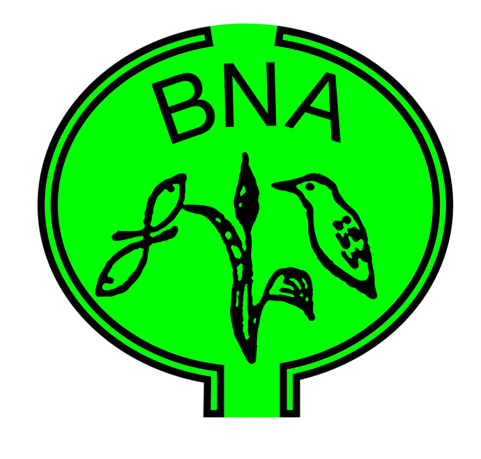 5 6 13 BNA logo 2fbg cmyk 300 (1)