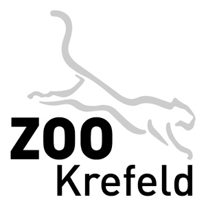 DE KREFELD 300