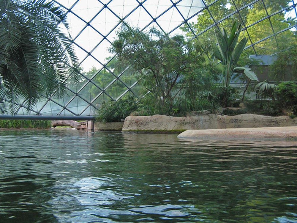 haltung 10 5 11 8 1 hippo berlinzoo PD